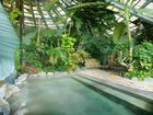 фото отеля Hotel Jungle Palace