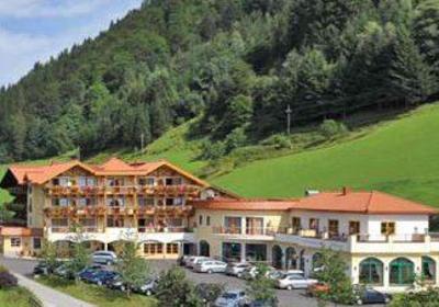 фото отеля Hotel Seeblick Goldegg