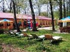 фото отеля Pension Forest Mirage