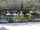 фото отеля Pension & Waldcafe Waldwinkel