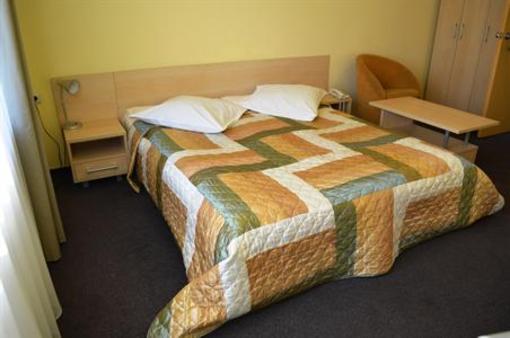 фото отеля Hotel Audenis