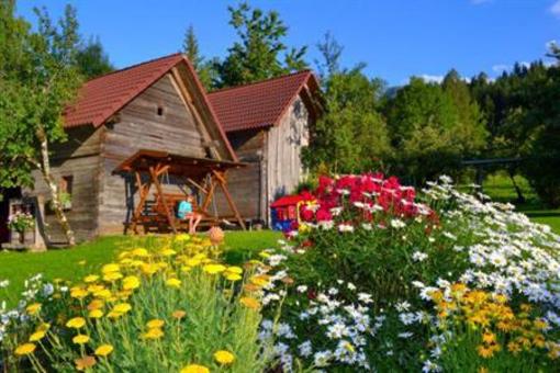 фото отеля Baby und Kinderbauernhof Riegler