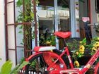 фото отеля Backpacker Samui Hostel