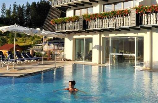 фото отеля Hotel Dollenberg
