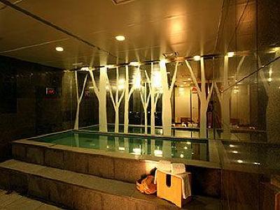 фото отеля Ibis Ambassador Myeong-dong Hotel