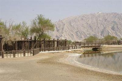 фото отеля Ain Al Faida One To One Hotel And Resort