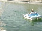 фото отеля Ain Al Faida One To One Hotel And Resort