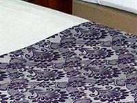 Hotel Dreamland Surat