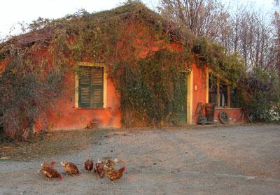 фото отеля Agriturismo Cascina degli Ulivi