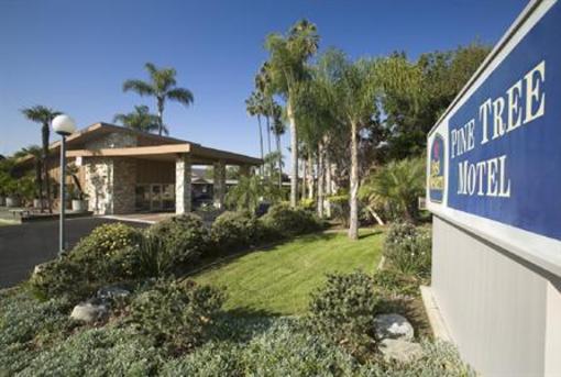 фото отеля Best Western Pine Tree Motel Chino