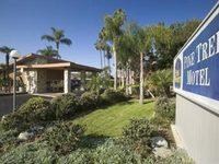 Best Western Pine Tree Motel Chino