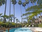 фото отеля Best Western Pine Tree Motel Chino