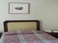 Hotel La Floresta