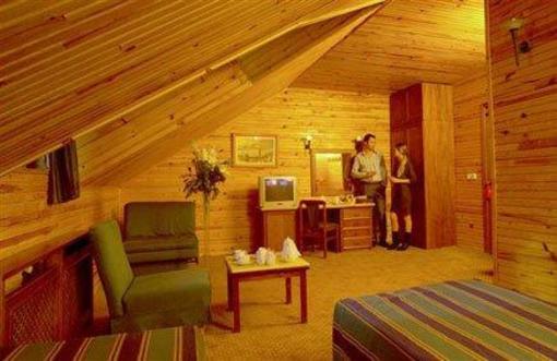 фото отеля Dedeman Erzurum Palandoken