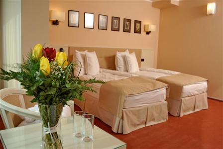 фото отеля Hotel Paradis Cluj-Napoca