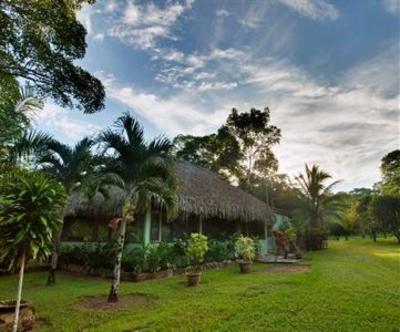 фото отеля Mama Noots Eco Resort