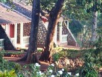 Bison River Resort