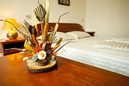 фото отеля Hotel GGGociman Crisan