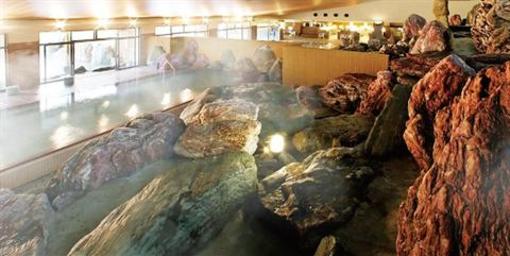 фото отеля Kintarouonsen