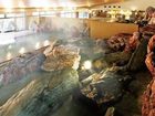 фото отеля Kintarouonsen