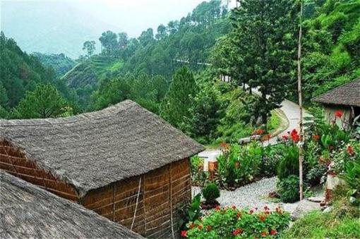 фото отеля The Chardham Camp Barkot Uttarkashi
