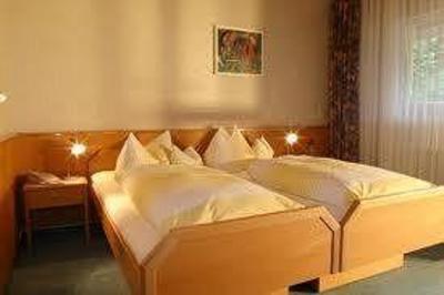 фото отеля Gesundheitszentrum St Anna Hotel Bad Peterstal-Griesbach