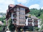 фото отеля Hotel Hirsch Bad Peterstal-Griesbach