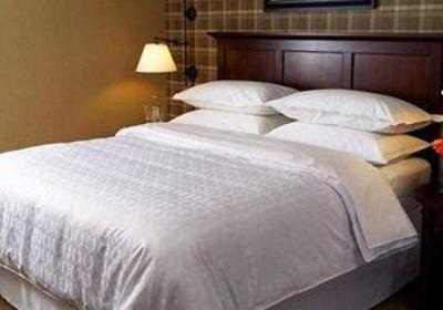 фото отеля Sheraton Orlando Downtown Hotel
