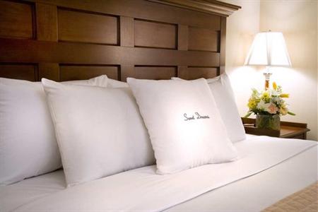 фото отеля Doubletree Hotel Chicago O'Hare Airport Rosemont