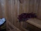фото отеля Gite La Vue Royale View B&B