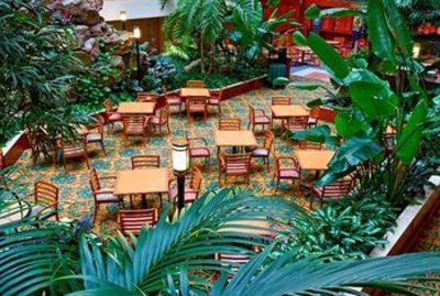 фото отеля Embassy Suites Chicago O'Hare Rosemont