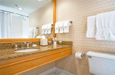фото отеля Embassy Suites Chicago O'Hare Rosemont