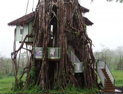 фото отеля Lupe Sina Treesort
