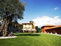 Azienda Agricola Il Roncal