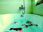 фото отеля Ha Oanh 2 Hotel
