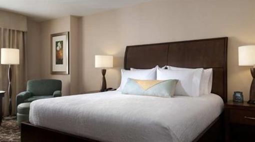 фото отеля Hilton Garden Inn Houston Northwest American Plaza