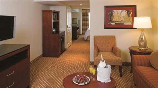 фото отеля Hilton Garden Inn Houston Northwest American Plaza
