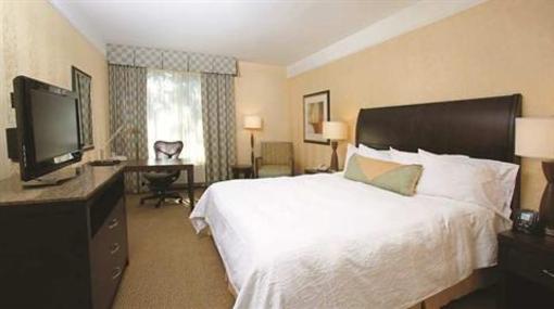 фото отеля Hilton Garden Inn Houston Northwest American Plaza