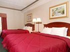 фото отеля Comfort Inn & Suites Mount Pocono