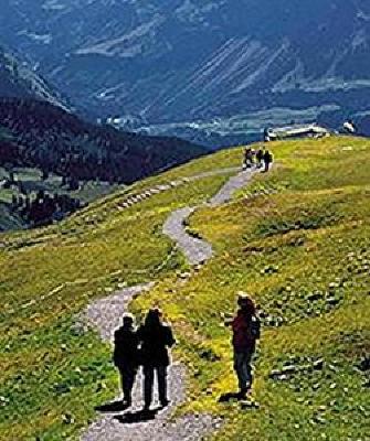фото отеля BEST WESTERN Hotel Hoher Freschen