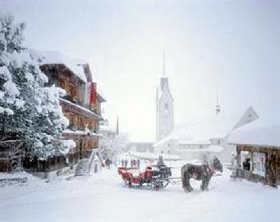 фото отеля Hotel Hirschen Schwarzenberg