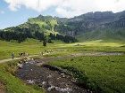 фото отеля Hotel Hirschen Schwarzenberg