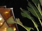 фото отеля Nadivana Serviced Apartments