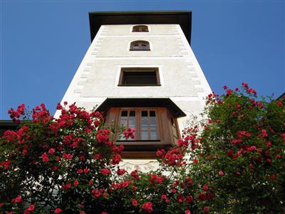 фото отеля Hotel Schloss Thannegg
