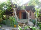 фото отеля Stay Cool Bungalow