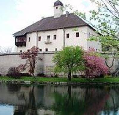 фото отеля Ferienwohnung Schloss Dornbach Castle Gmund (Carinthia)