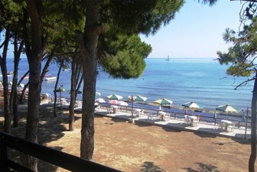 фото отеля Hotel Castello Beach