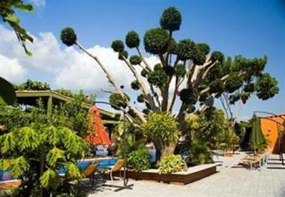 фото отеля Los Arroyos Verdes Hotel Bucerias