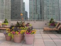Oakwood Apartments