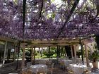 фото отеля Hotel Aurelia Cervia